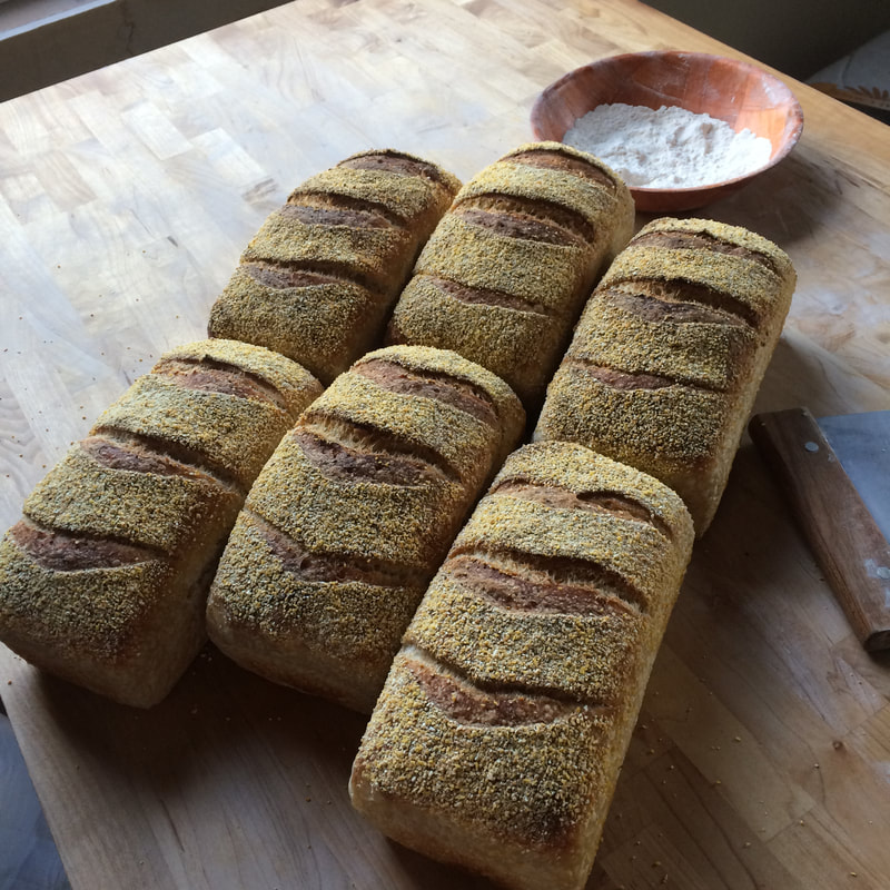 Polenta Sourdough Bread