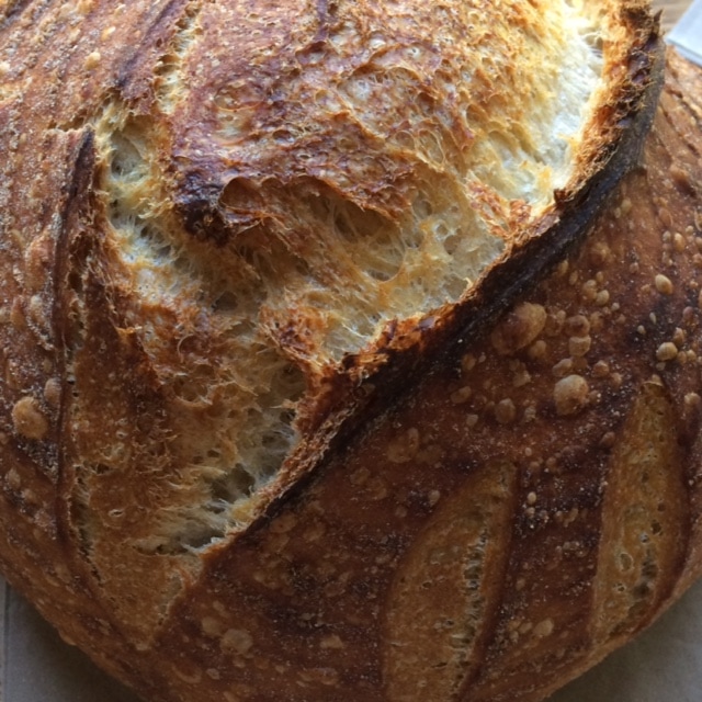 Country Sourdough Loaf