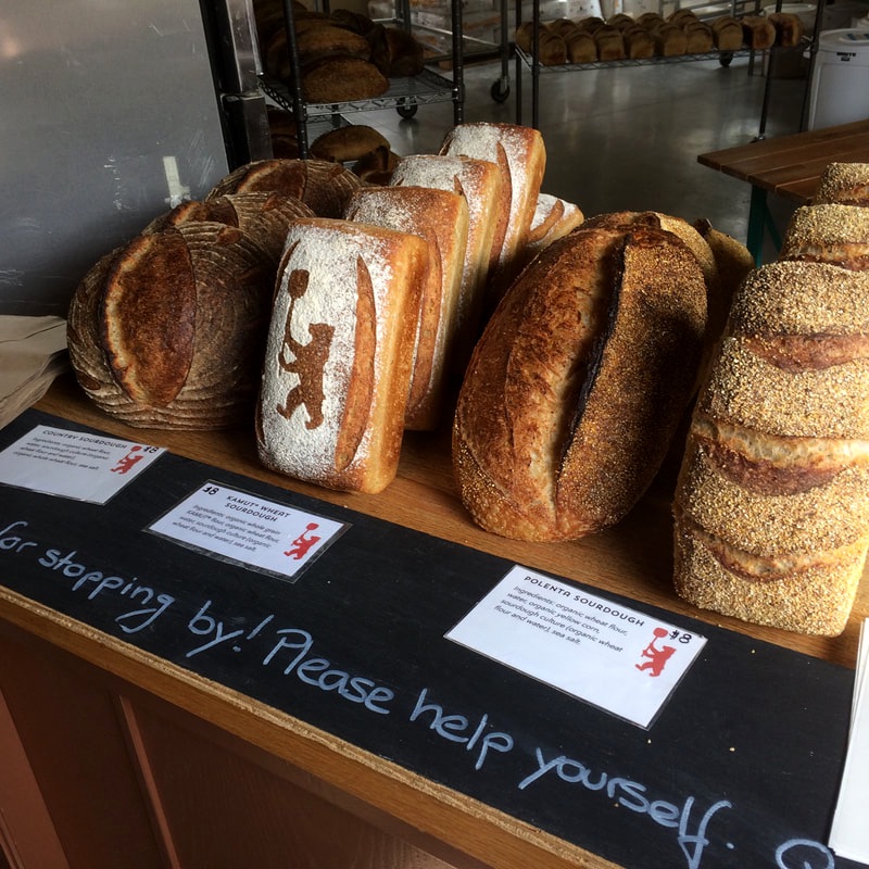 Sourdough Bread on Counter
